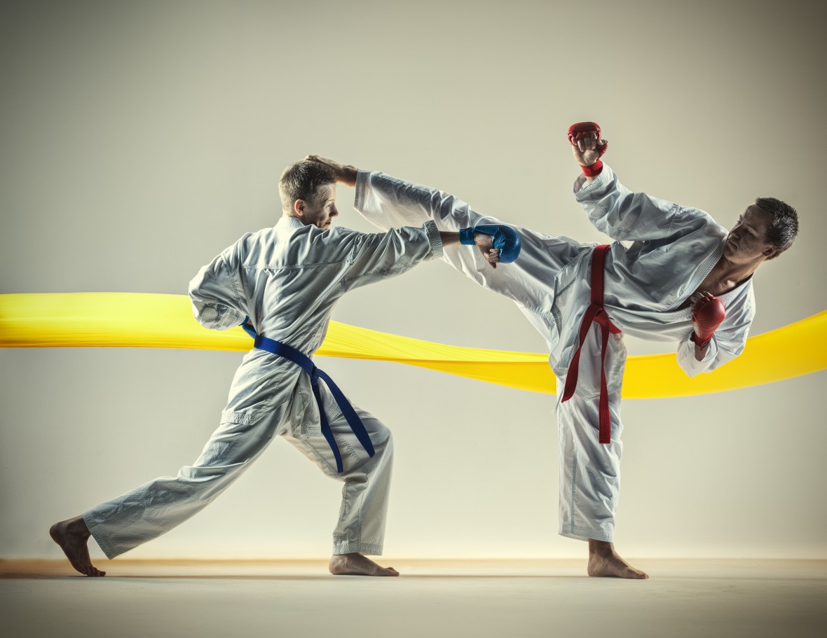 Innstilling til seksjonsstyret karate - thumbnail