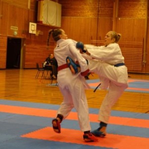 RESULTATER VESTLANDSCUP-1 KARATE - thumbnail