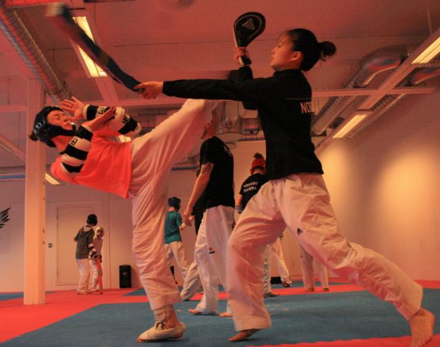 Uttak til junior EM i taekwondo - thumbnail
