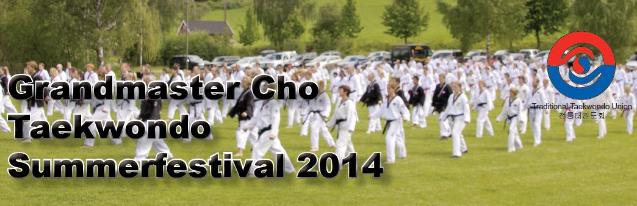 Traditional Taekwondo Union Sommerfestival - thumbnail