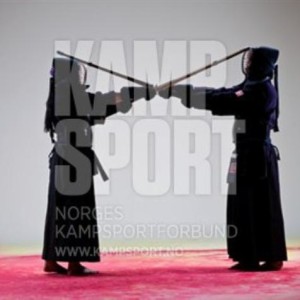 Ranking Kendo - thumbnail