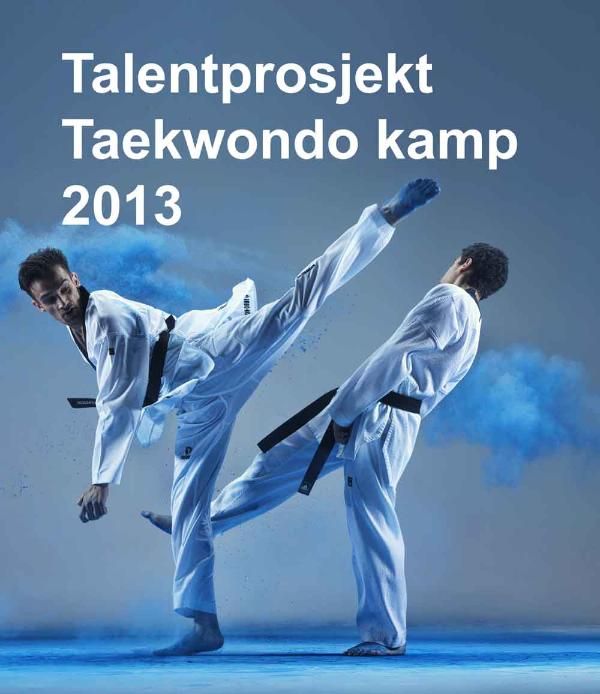Søknad om plass på talentlaget for WTF Taekwondo kamp - thumbnail