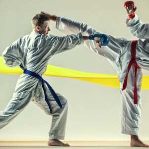 Regionalt karatestevne i Idda Arena på Sørlandet - thumbnail
