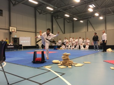 Resultater Arctic Taekwondo Games - thumbnail