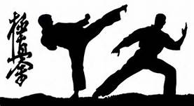 Resultater/rapport Kyokushin Challenge – Kata - thumbnail