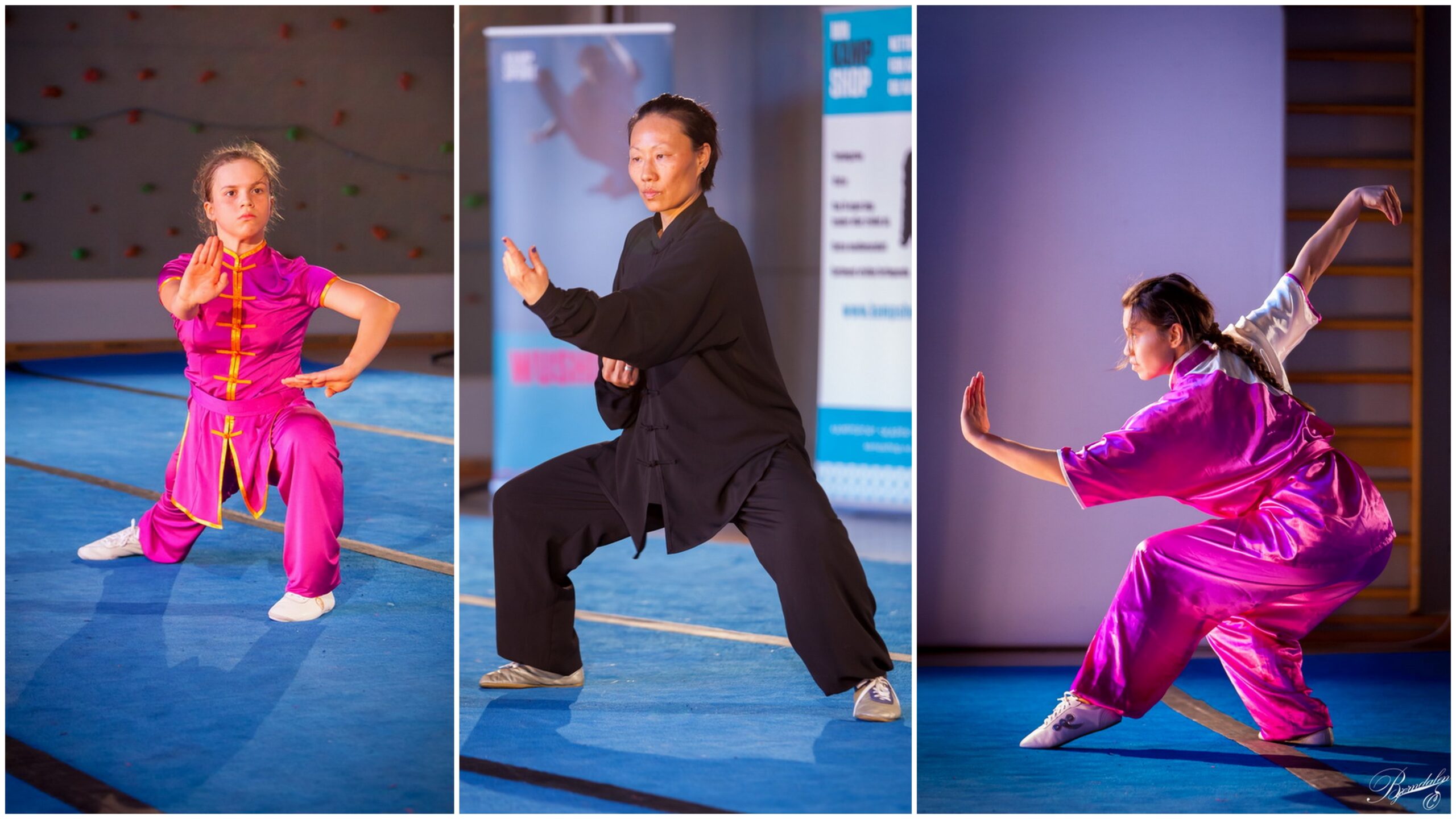 Wushu/Kungfu: Vi søker ny forbundstrener!