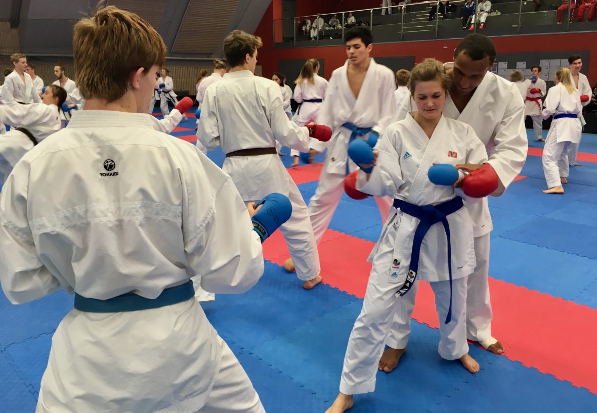 Karate: Informasjon om kick off og nordisk mesterskap - thumbnail