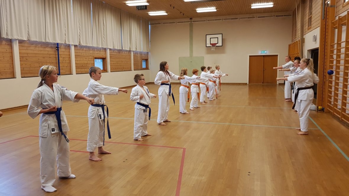 Fullkontakt karate: Kvinesdal Karate arrangerte kyokushin-minileir - thumbnail