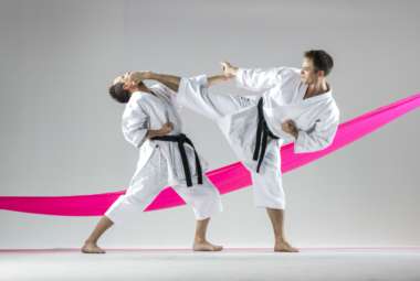 Stevne- og dommerreglement for shobu ippon karate - thumbnail