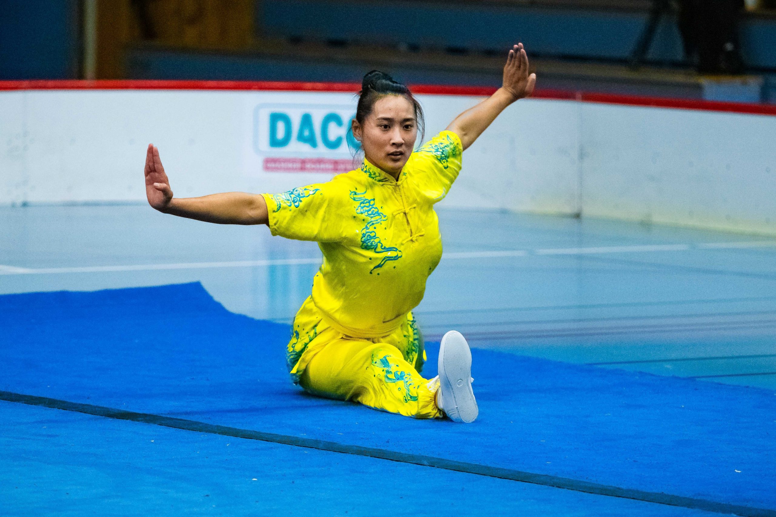 Wushu: Endring av sommerleir