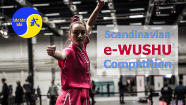 Scandinavian e-Wushu Competition LIVE - thumbnail