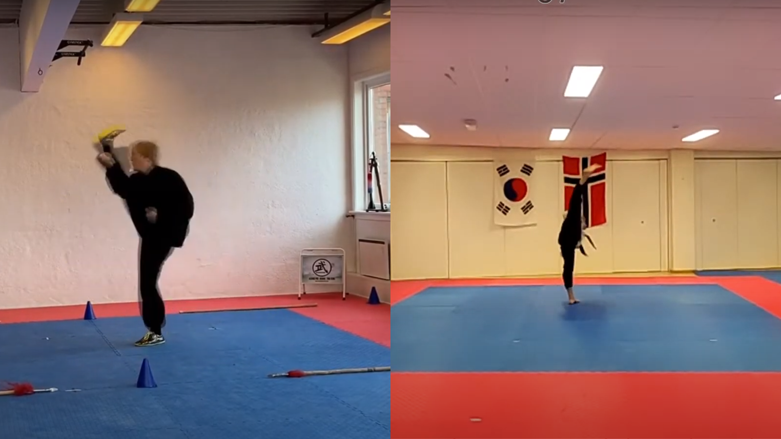 Sterke norske prestasjoner i internasjonale e-stevner