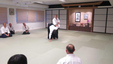 Vellykket Aikido-seminar i Stavanger - thumbnail