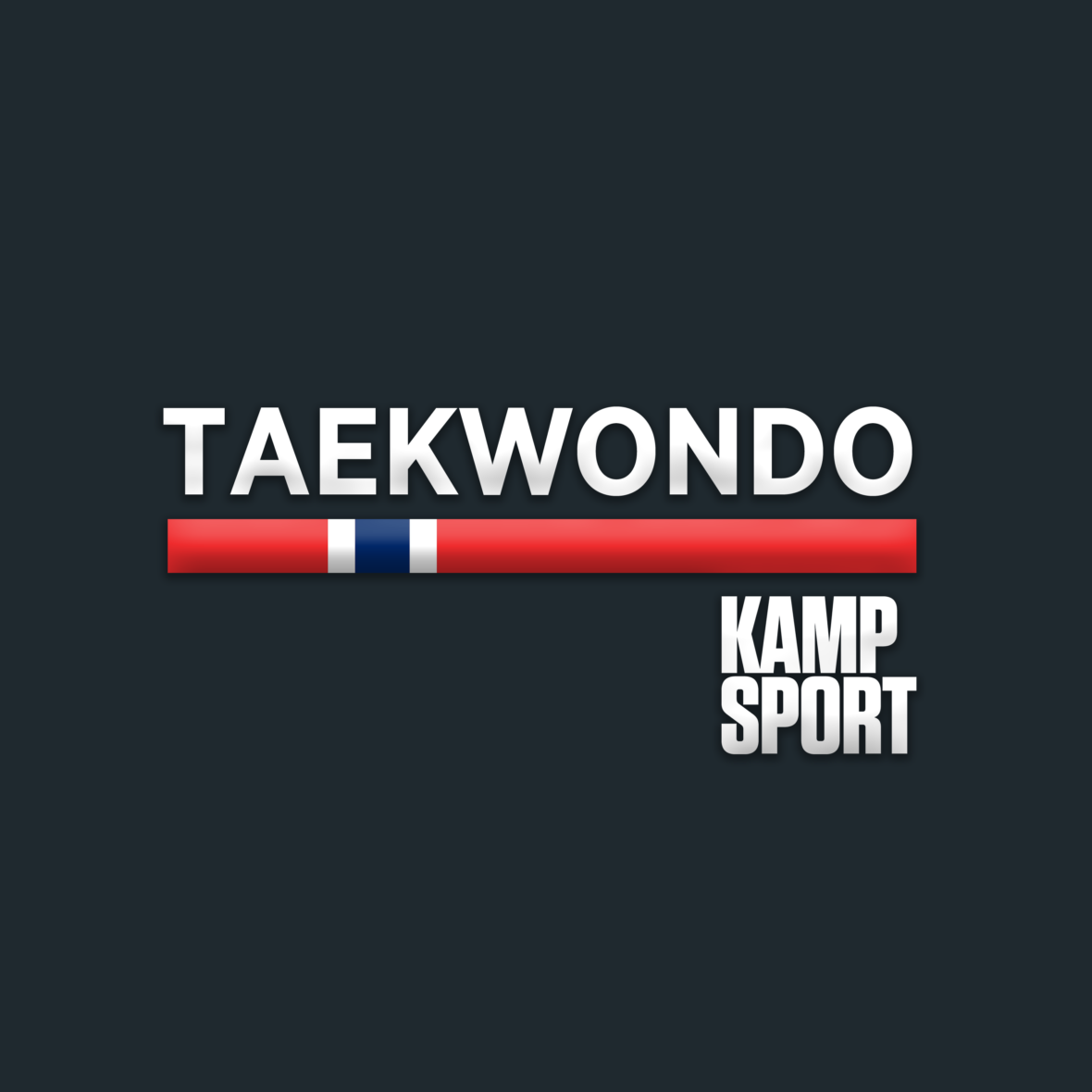 Uttak til internasjonale taekwondo-mesterskap - thumbnail