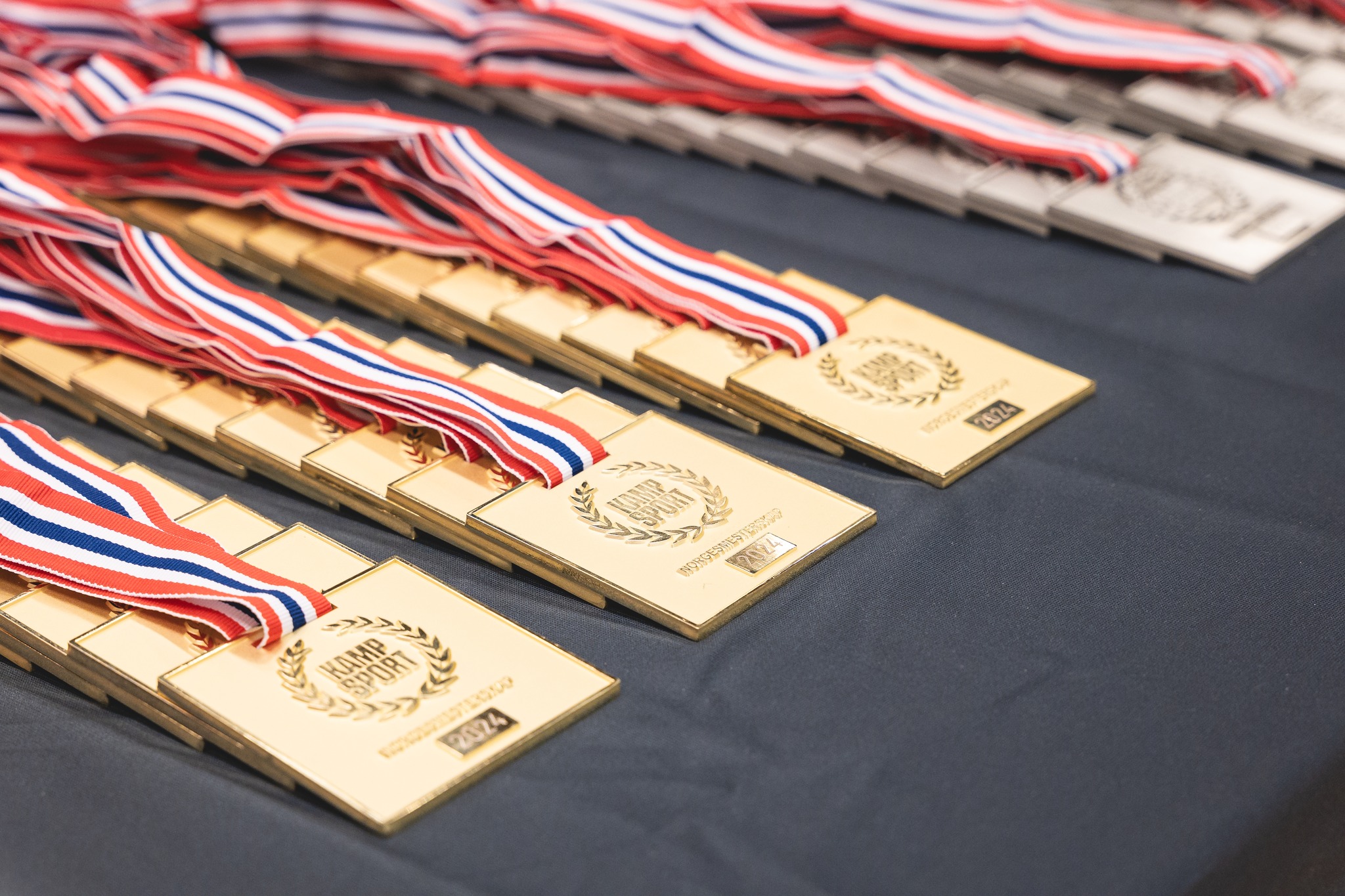 Resultater fra Norgesmesterskapet i fullkontakt