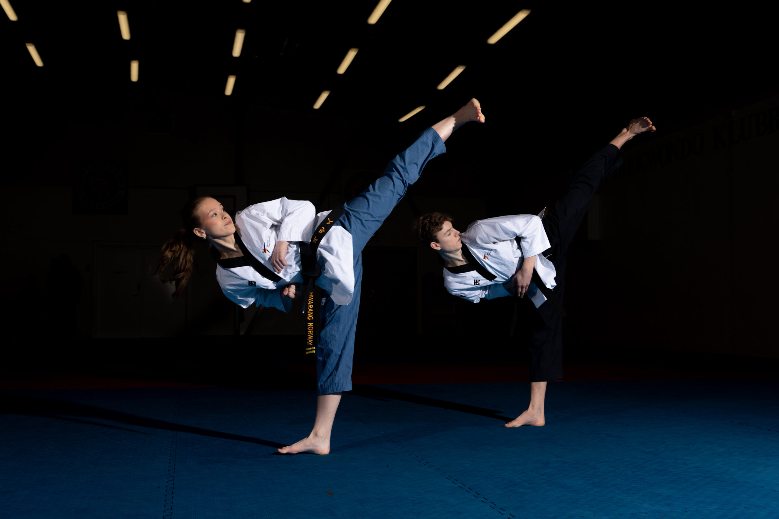 Dommerkurs og coachkurs Poomsae 1. – 2. november