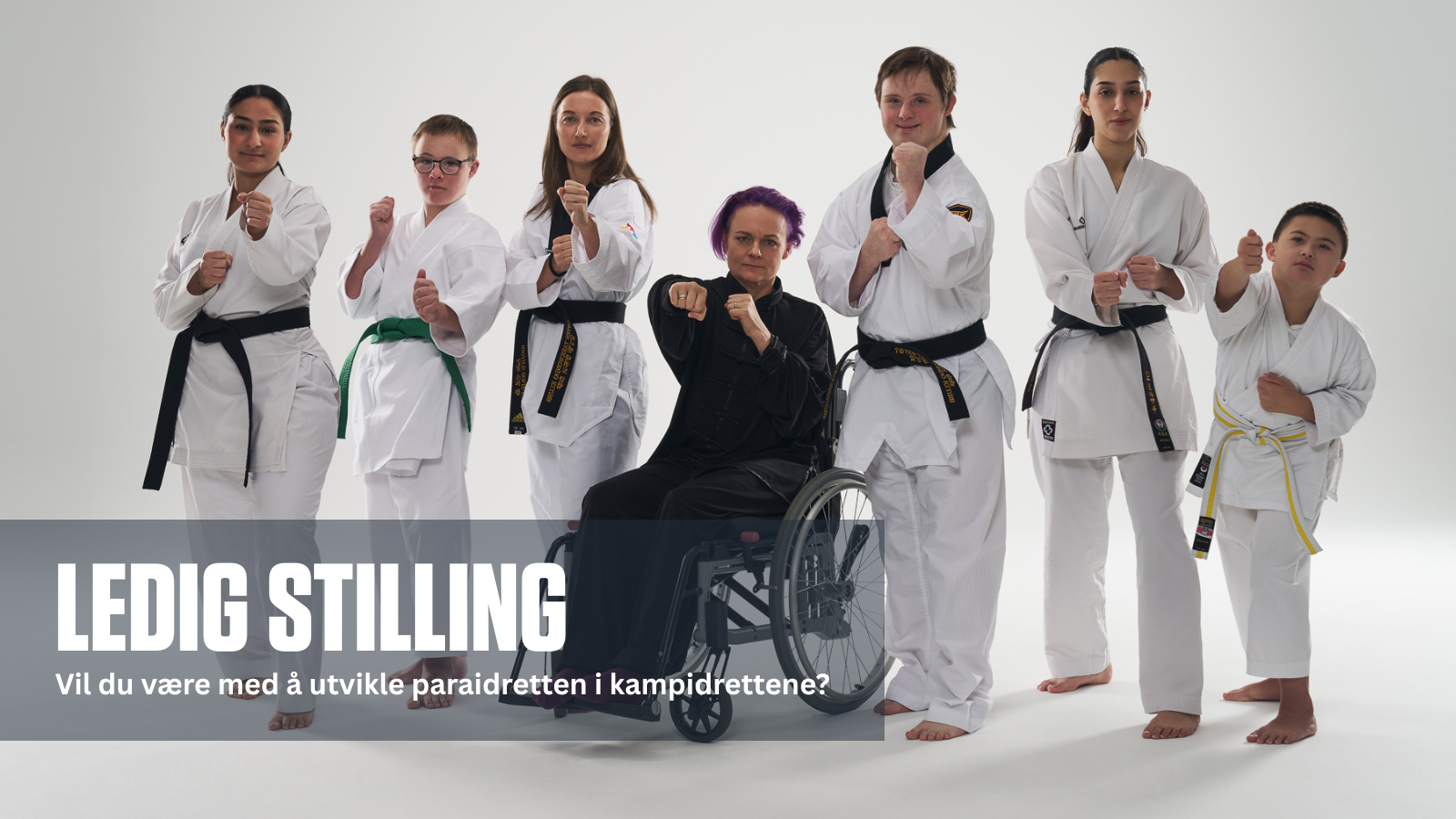 Vil du være med å utvikle paraidretten i kampidrettene?