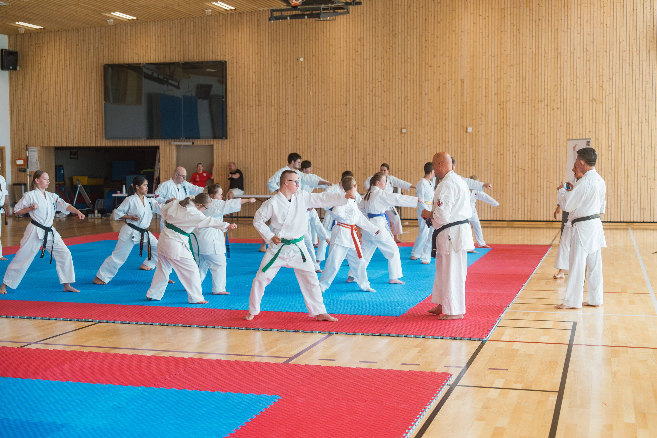 Digitalt kurs: Innføring i paraidretten