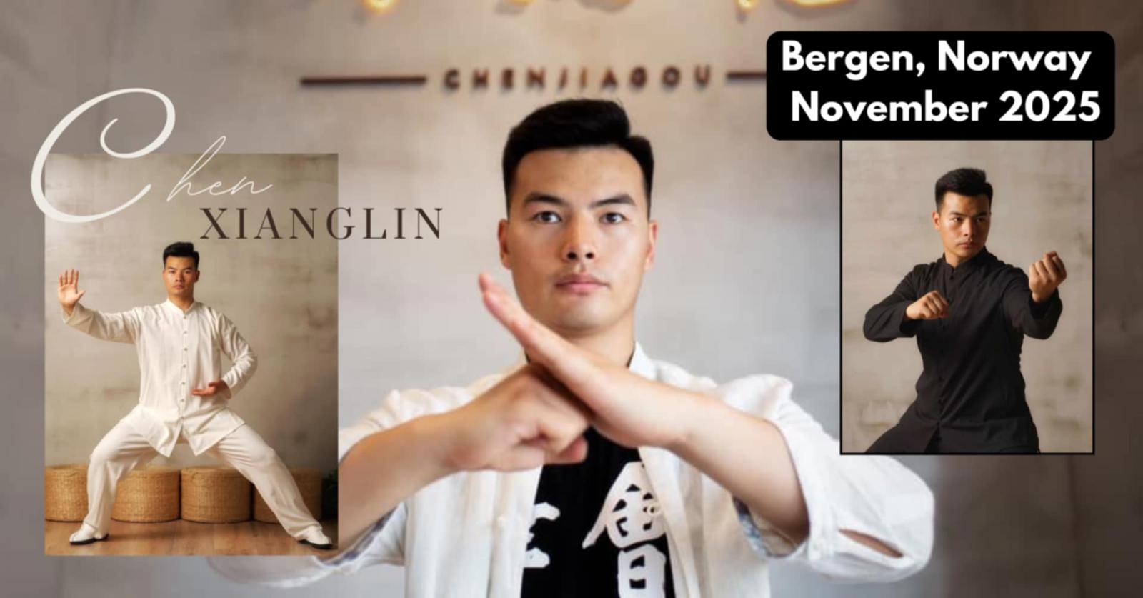 Velkommen til Taiji Seminar