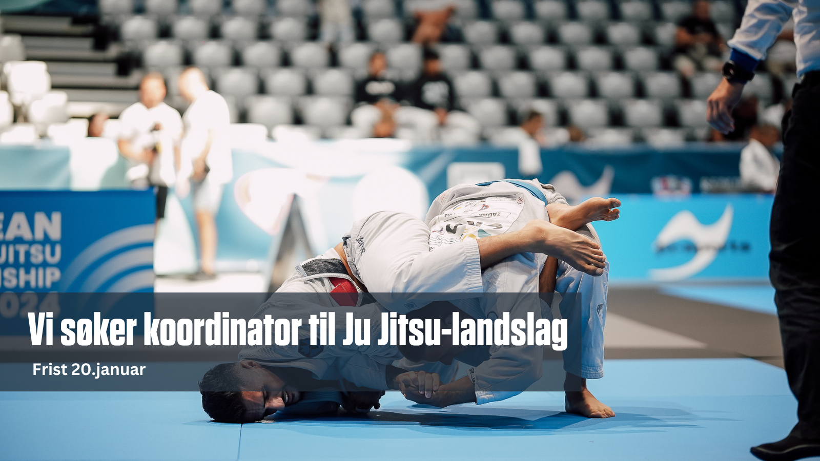 Vi søker koordinator til ju jitsu-landslag – Frist 20.januar